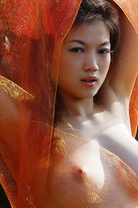 asian woman with big tits and a huge cock fucking on the bed